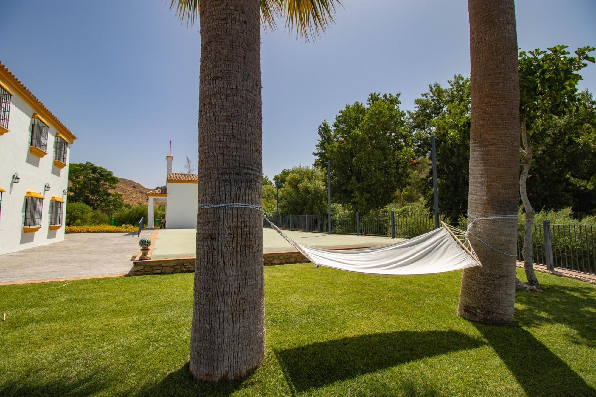 Cortijo San Antonio De Trejo Vila Setenil De Las Bodegas Exterior foto